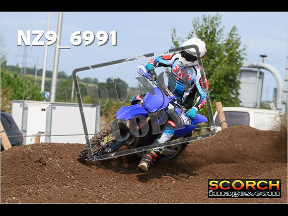 Experts-388