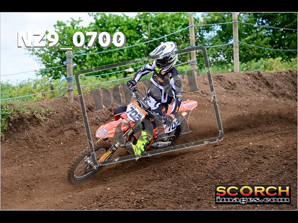 Experts-029