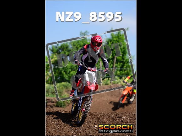 IntersGreenOrange-261