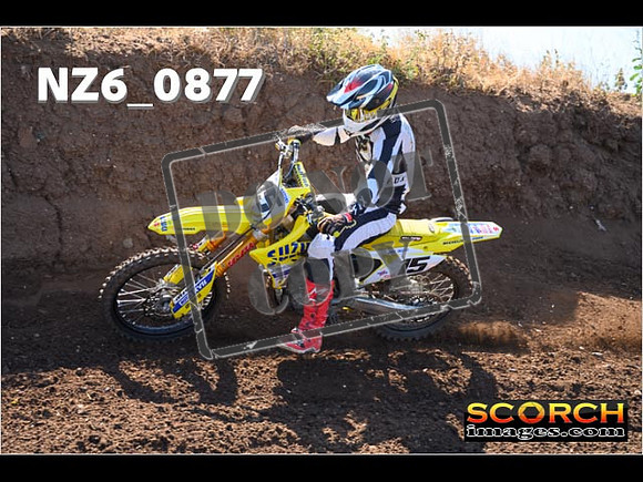 Experts-038