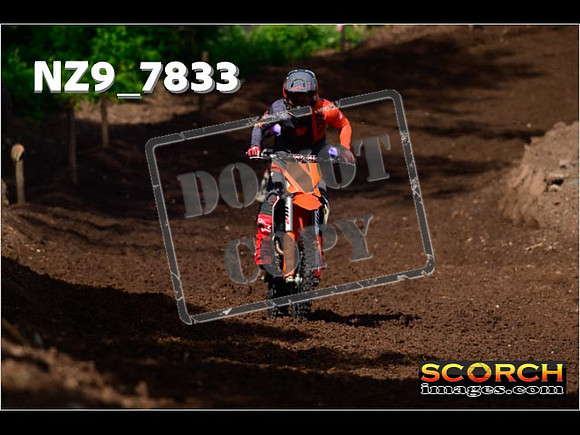 IntersGreenOrange-037