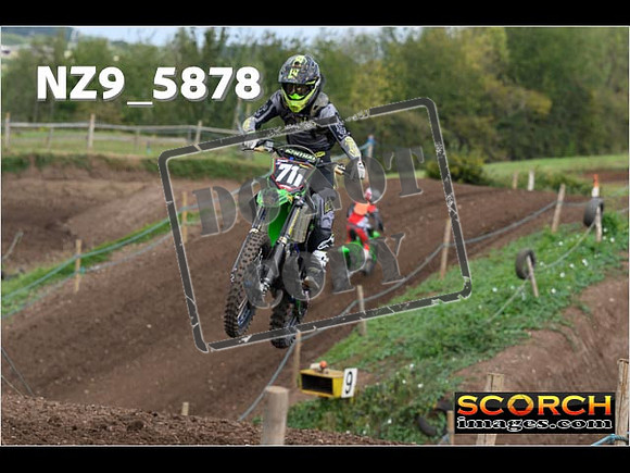 IntersGreen-068