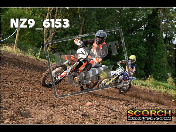 Experts-068