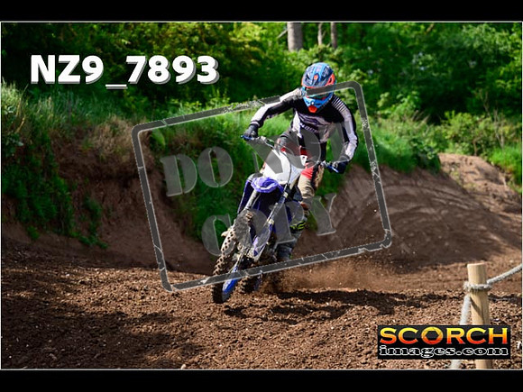 IntersGreenOrange-095