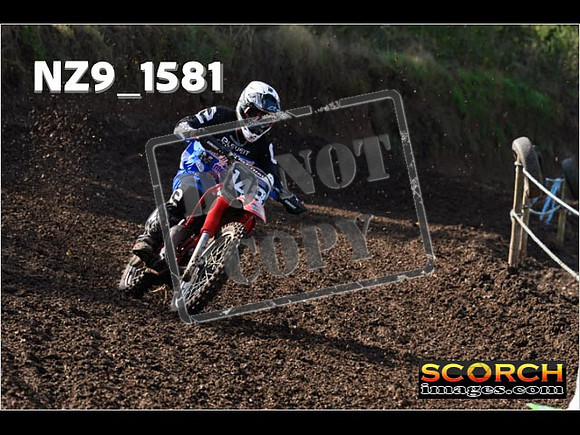 Experts-263