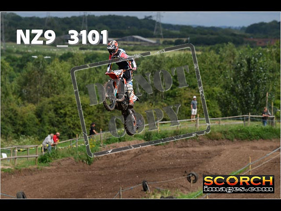 Experts-110