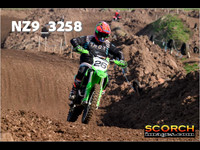 IntersGreen-014