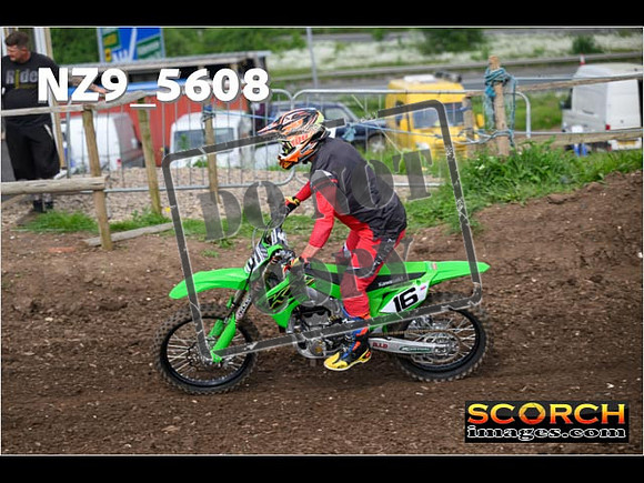 Experts-046