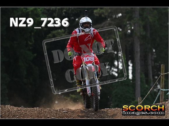 Inters Green-231