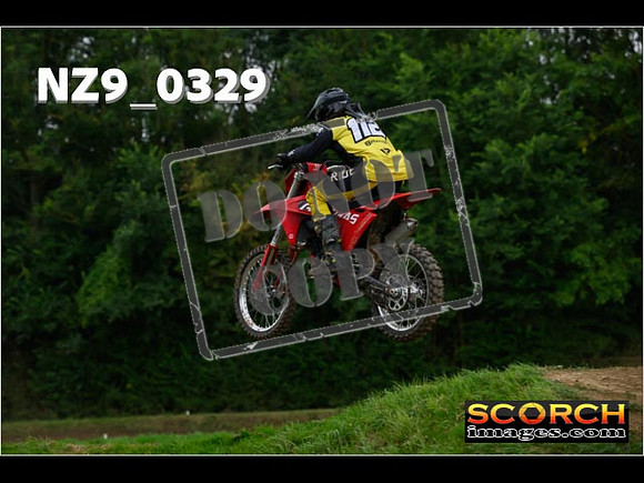 Novice-298