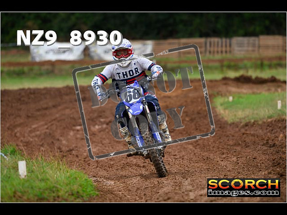 Experts-146