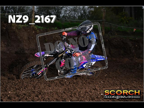 Experts-172