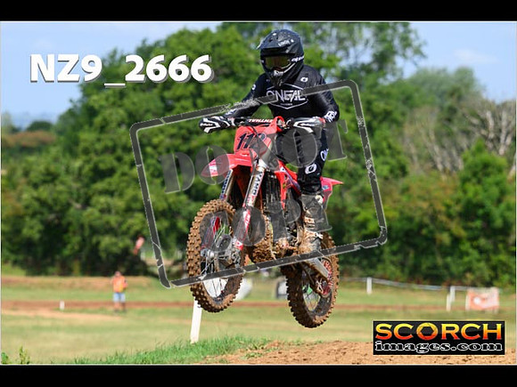 Novice-126