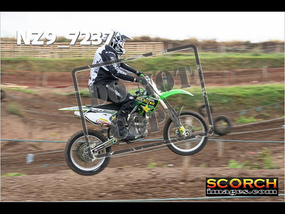 IntersGreen-039