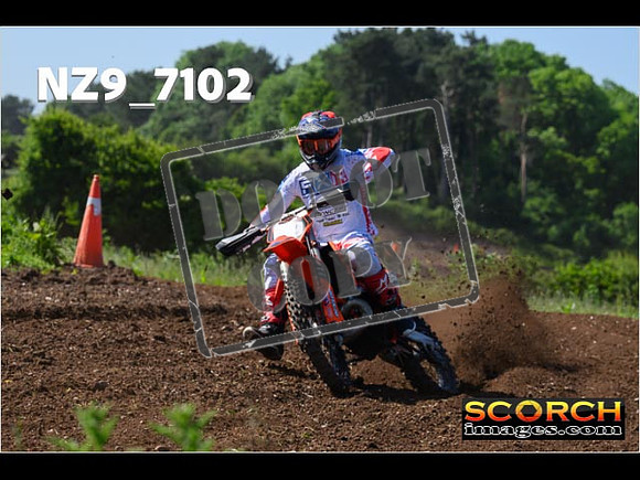 Experts-085