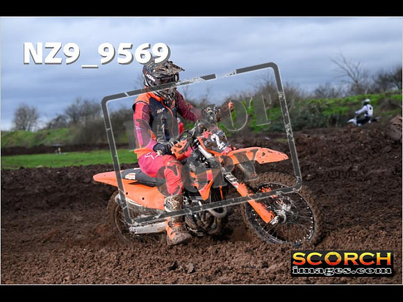 Intermediates-254