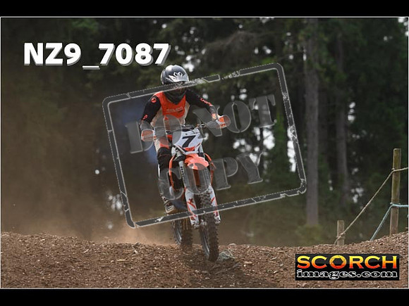 Experts-478