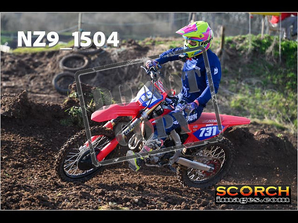Experts-048