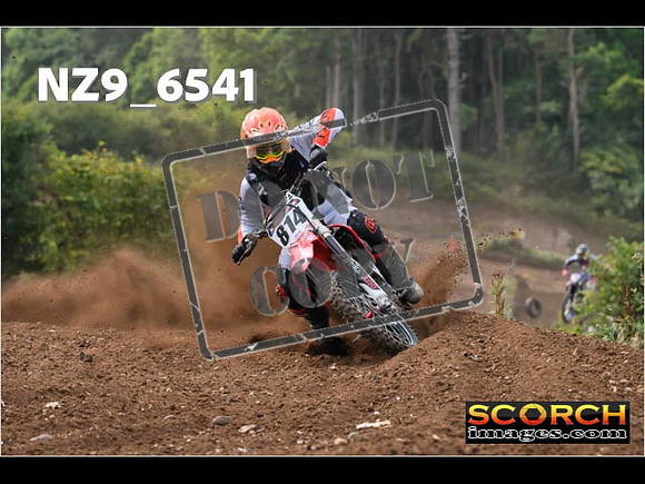 Experts-250