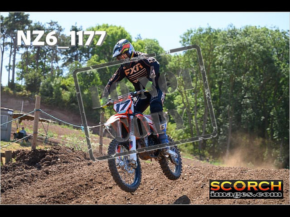 Experts-144