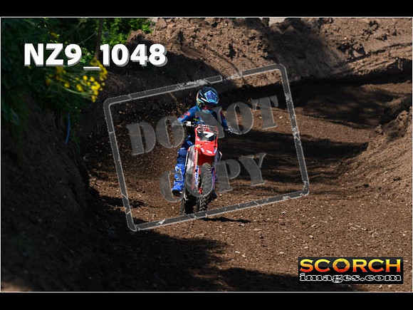 Experts-126