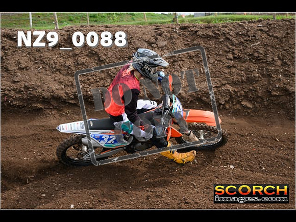 Inters GreenOrange-098