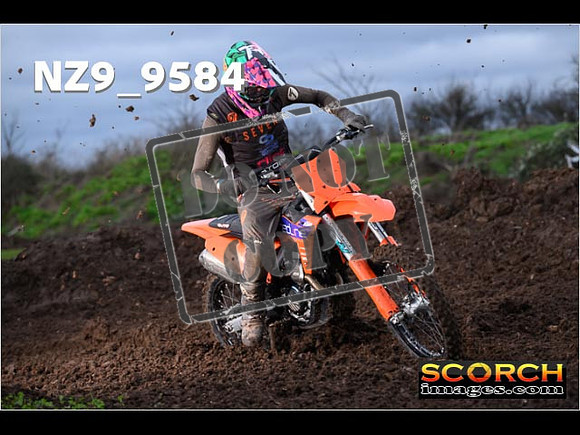 Intermediates-269