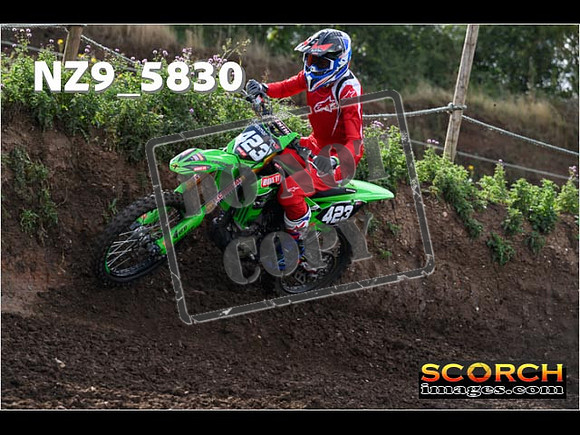 IntersGreen-022