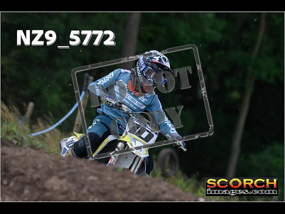 Experts-029