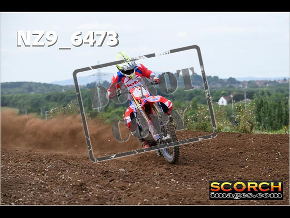 Experts-186