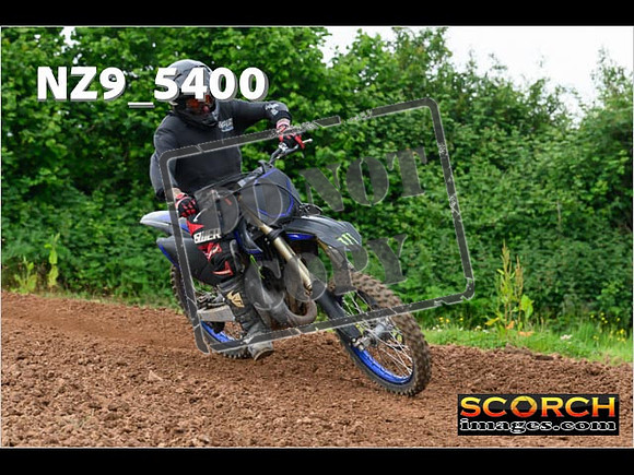 Experts-335