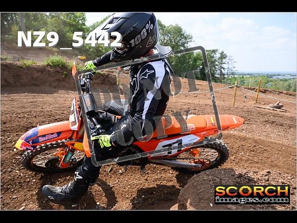 InterGreenOrange-293