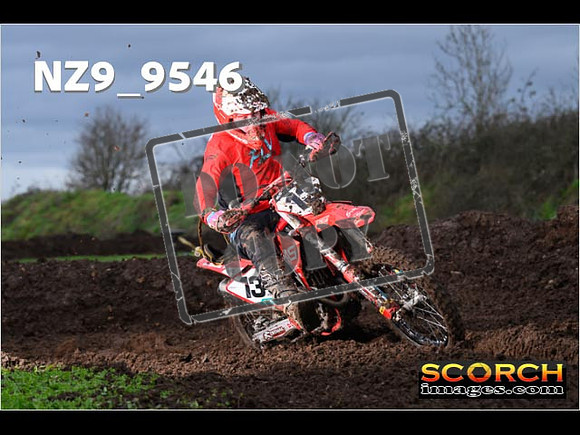 Intermediates-231