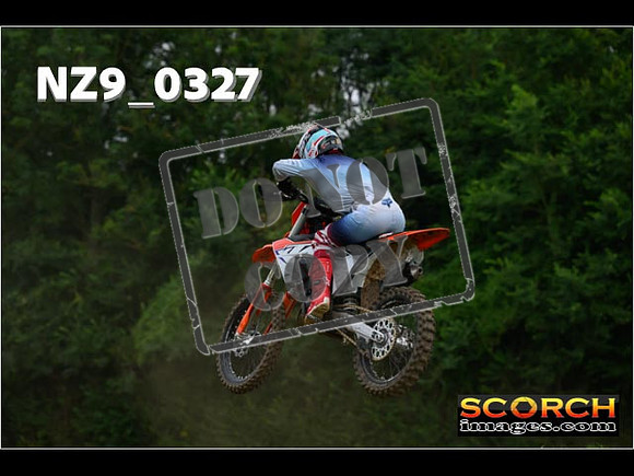 Novice-296