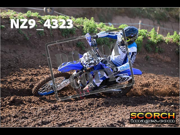 Experts-057
