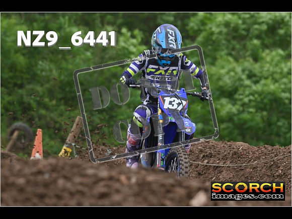 Experts-253