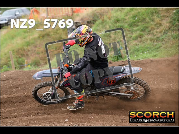 Experts-239