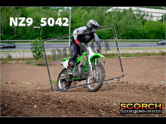 IntersGreen-127