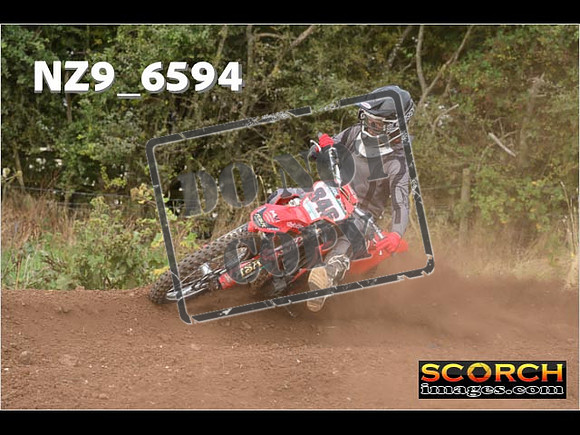 Experts-300