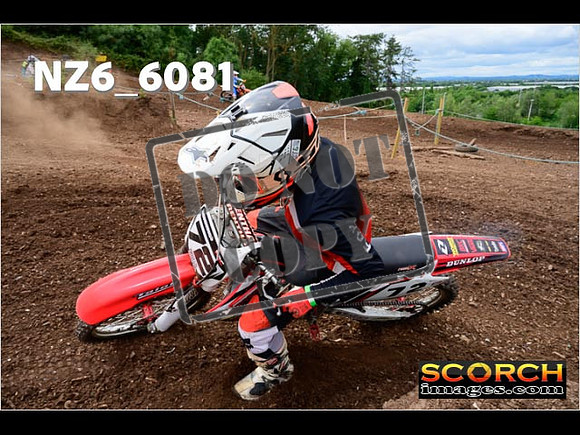 Inters Green-220