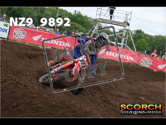 MX1-431