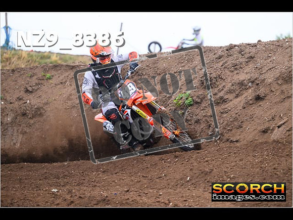 Experts-078