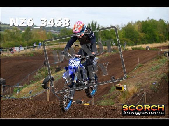 IntersBlue-094