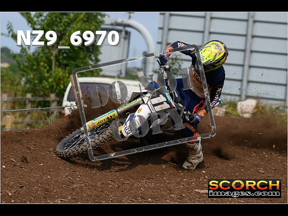 Experts-368