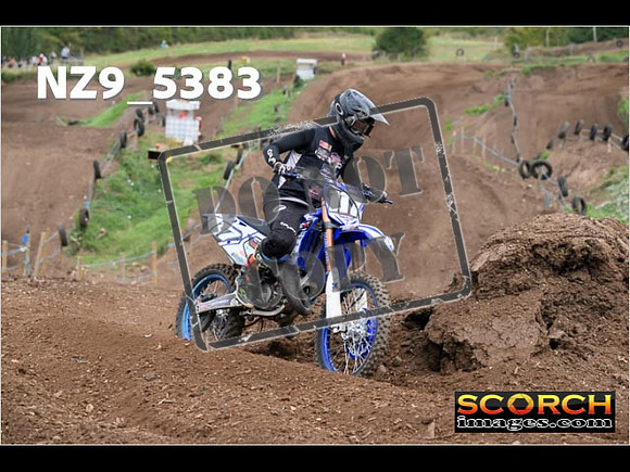 Experts-159