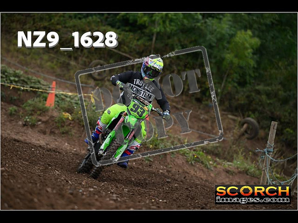IntersGreenOrange-034