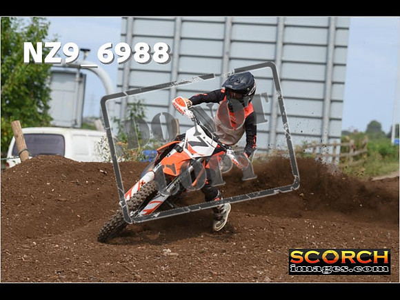 Experts-385