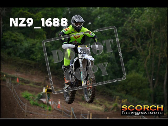 IntersGreenOrange-094