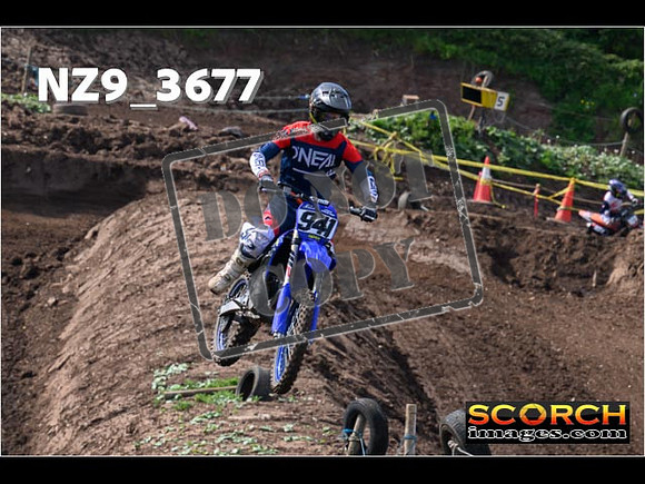 Experts-123