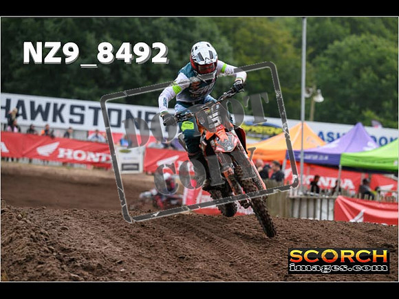 MX2-088